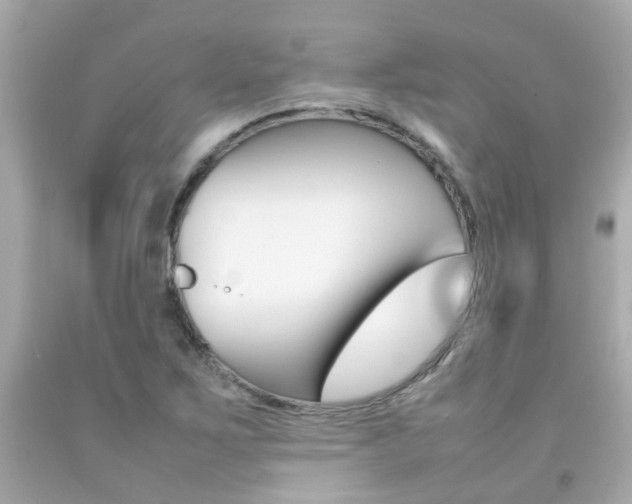 X0000092091267200709121118