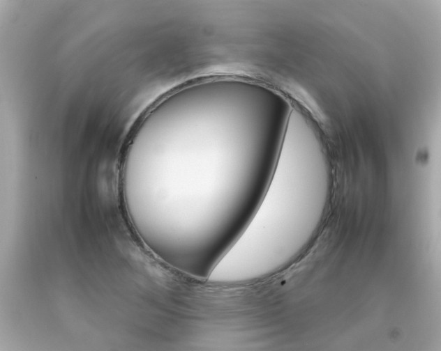 X0000092091268200709121118