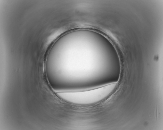 X0000092091269200709121118
