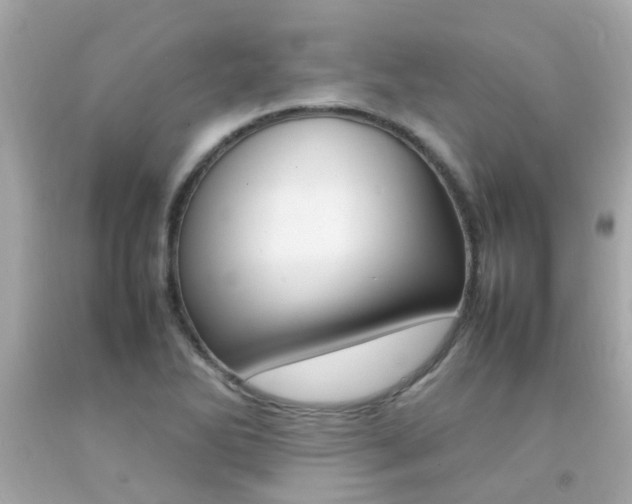 X0000092091270200709121118