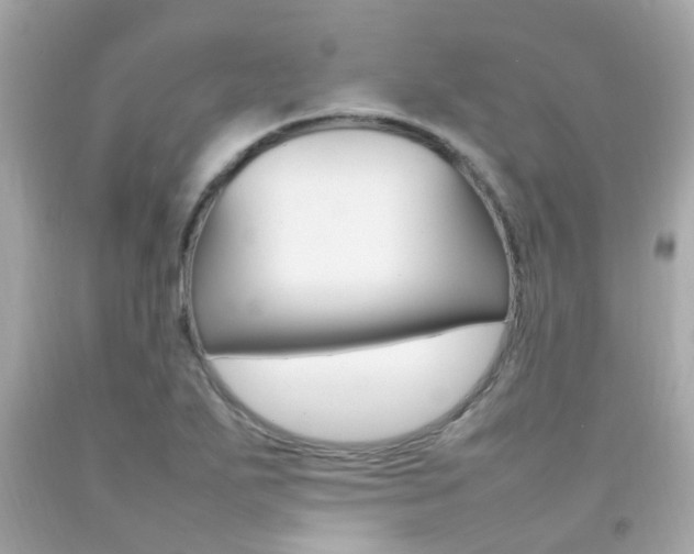 X0000092091271200709121118
