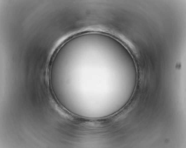 X0000092091272200709121118