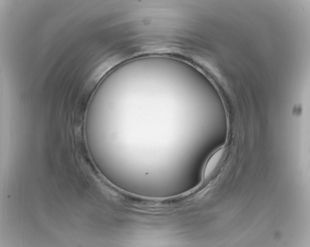 X0000092091273200709121118