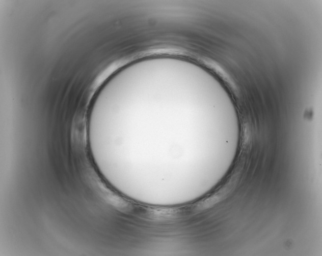 X0000092091274200709121118