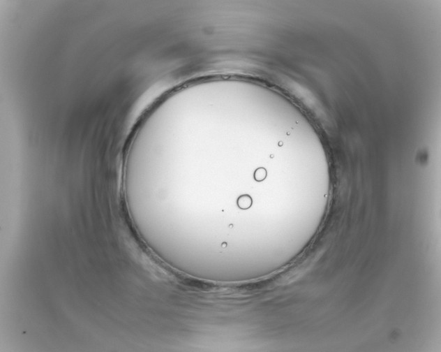 X0000092091275200709121118