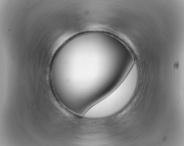 X0000092091277200709121118