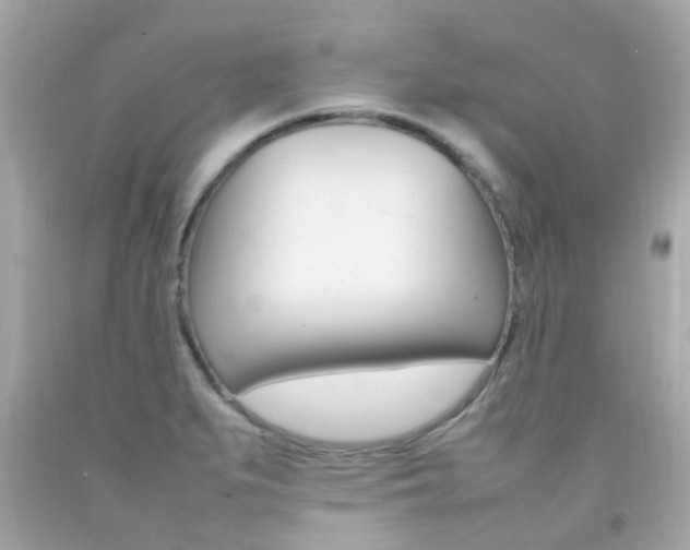X0000092091279200709121118