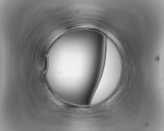 X0000092091281200709121118
