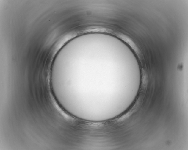 X0000092091282200709121118