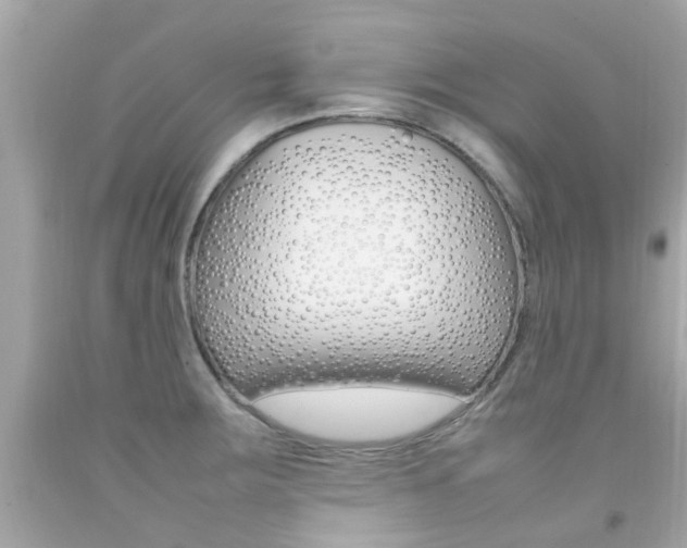 X0000092091283200709121118