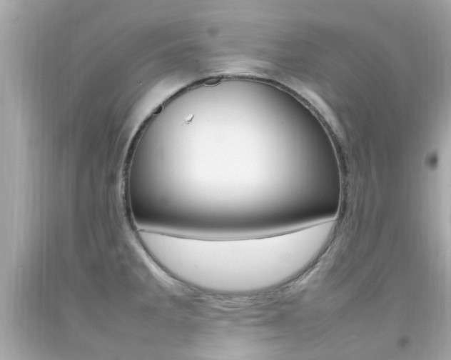 X0000092091285200709121118