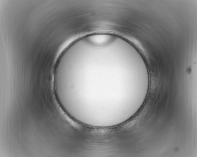 X0000092091286200709121118