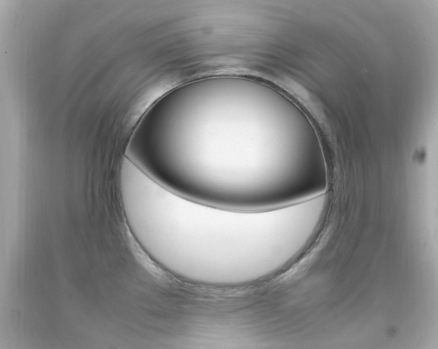 X0000092091289200709121118