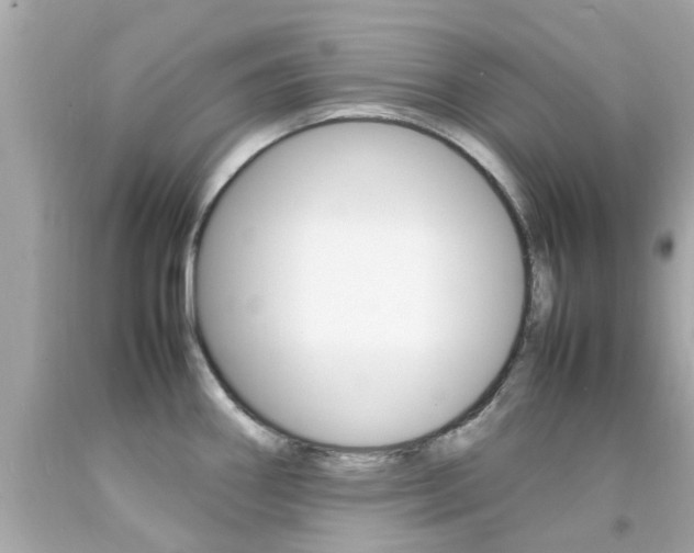 X0000092091290200709121118