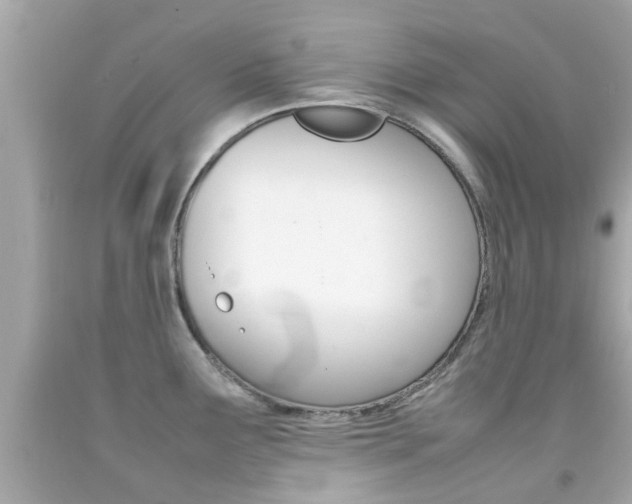 X0000092091291200709121118