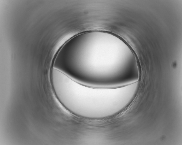 X0000092091293200709121118