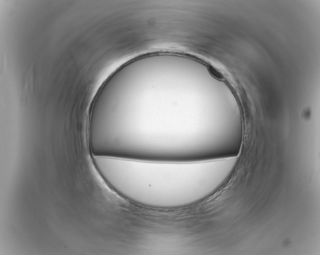 X0000092091295200709121118