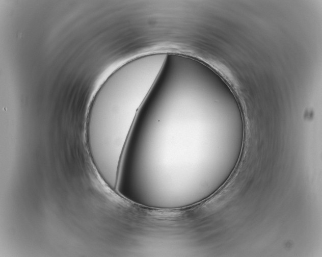 X0000092091296200709121118