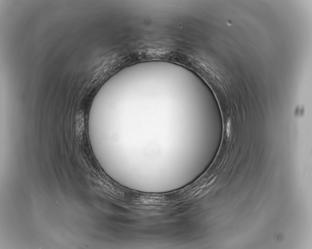 X0000092091299200709121117
