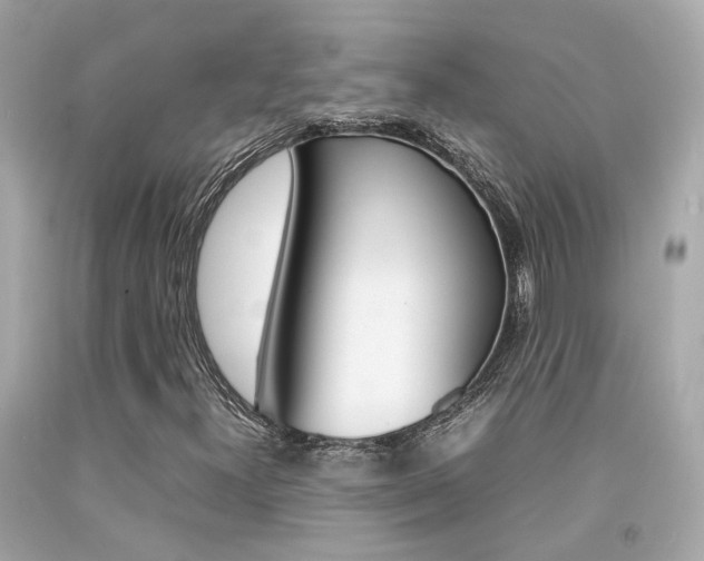 X0000092091300200709121117