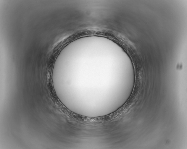 X0000092091302200709121117