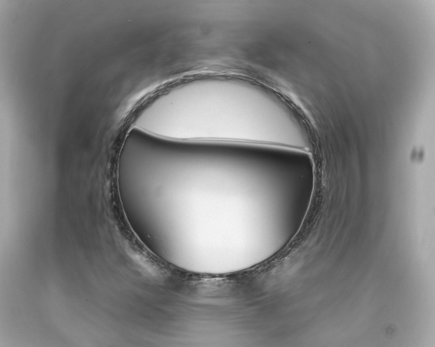 X0000092091304200709121117
