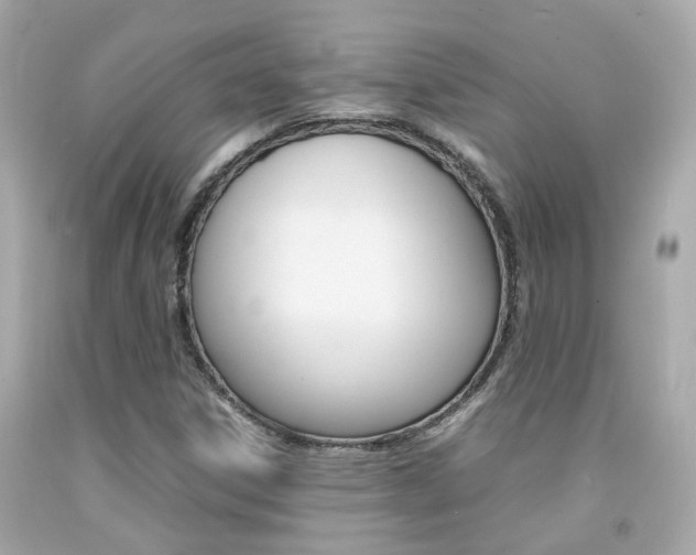 X0000092091306200709121117