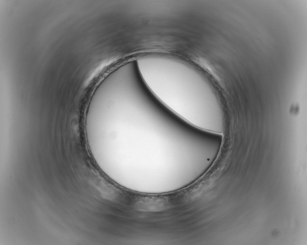 X0000092091307200709121117