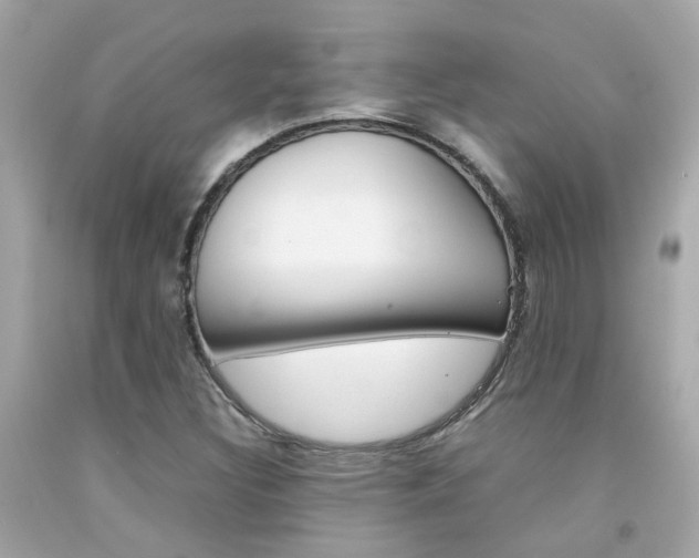 X0000092091308200709121117