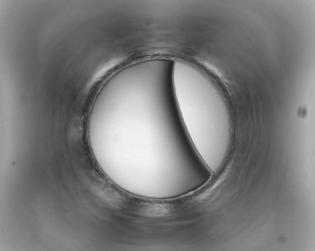 X0000092091309200709121117