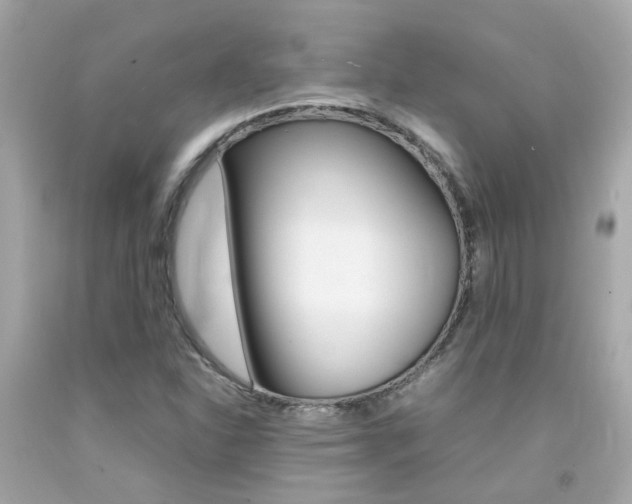 X0000092091310200709121117