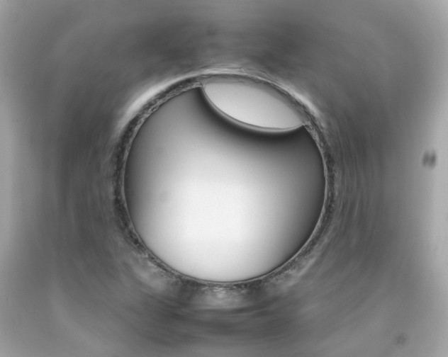 X0000092091311200709121117