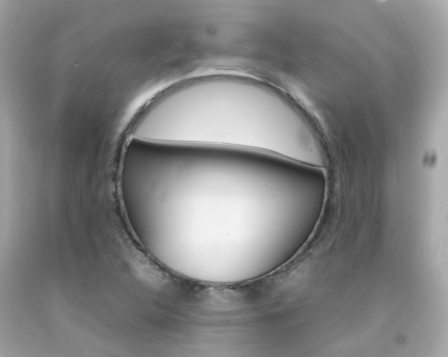 X0000092091312200709121117