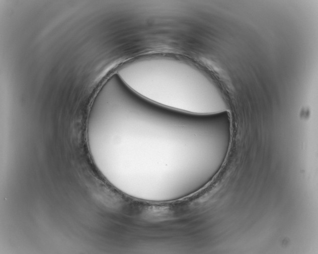 X0000092091313200709121117