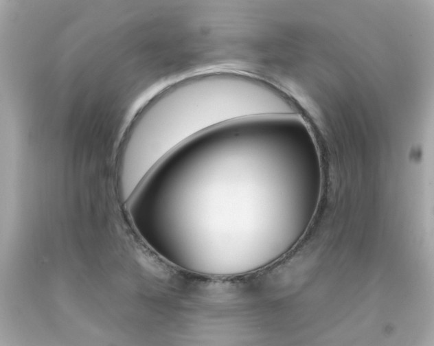 X0000092091316200709121117