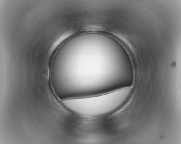 X0000092091317200709121117
