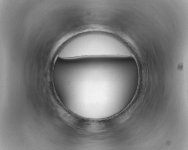 X0000092091318200709121117
