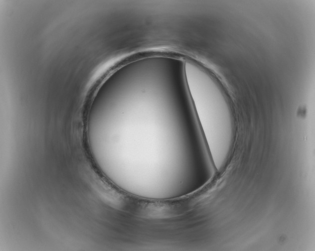 X0000092091319200709121117
