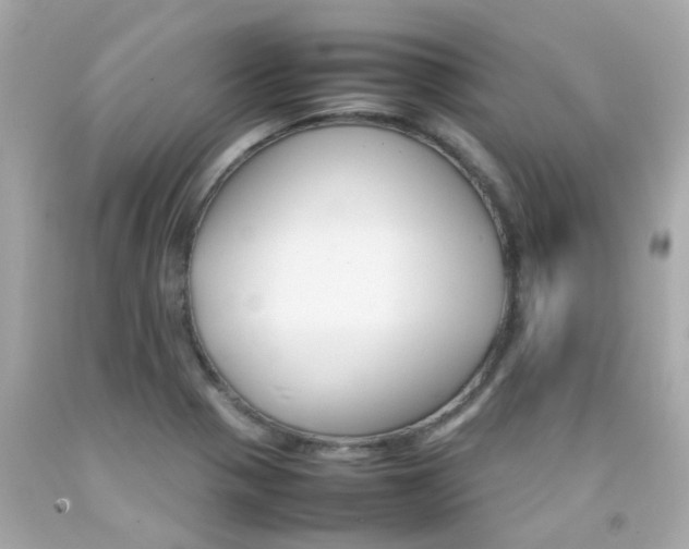 X0000092091321200709121118