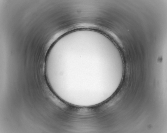X0000092091322200709121118