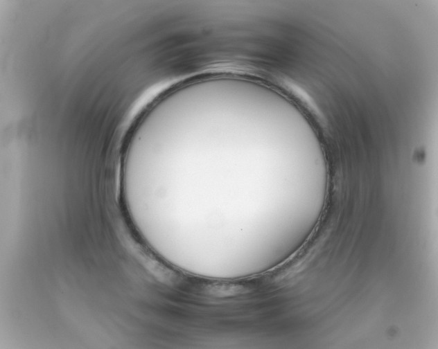 X0000092091323200709121118