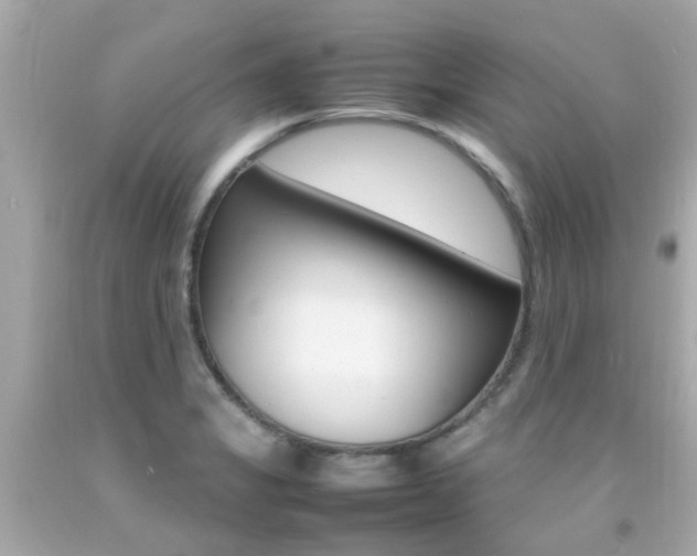 X0000092091325200709121118