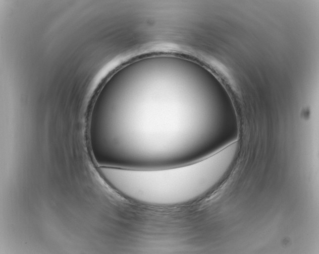 X0000092091326200709121118