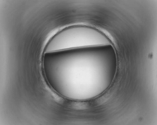 X0000092091327200709121118