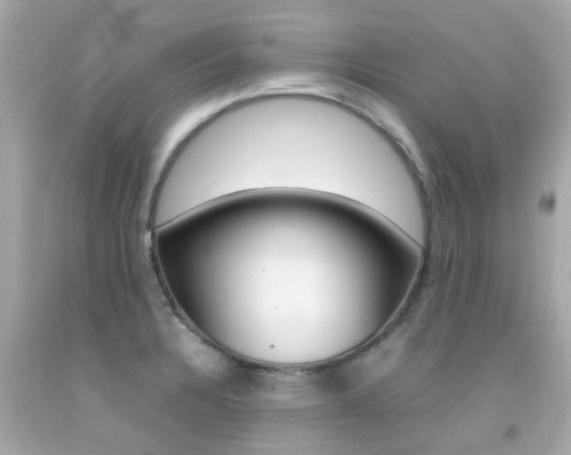 X0000092091328200709121118