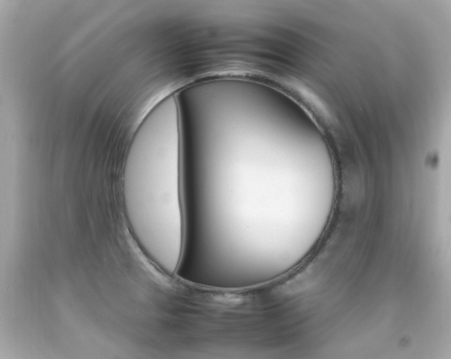 X0000092091329200709121118
