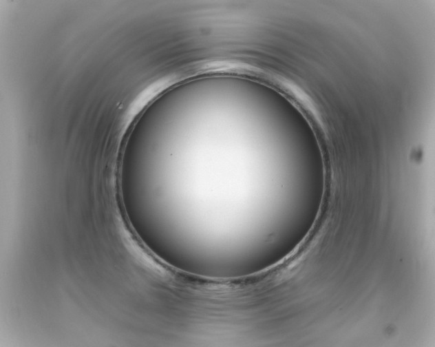 X0000092091330200709121118