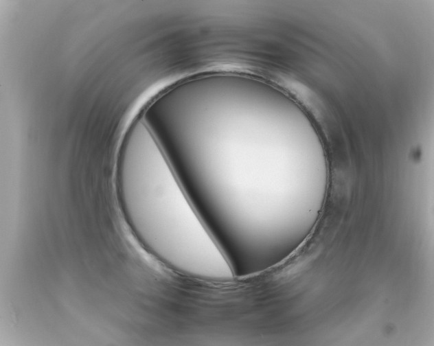 X0000092091331200709121118