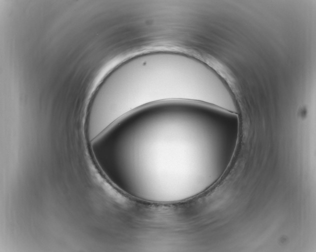 X0000092091334200709121118