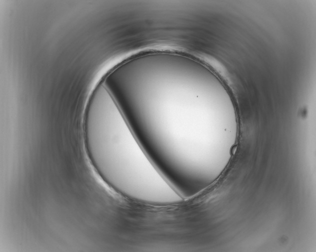 X0000092091335200709121118